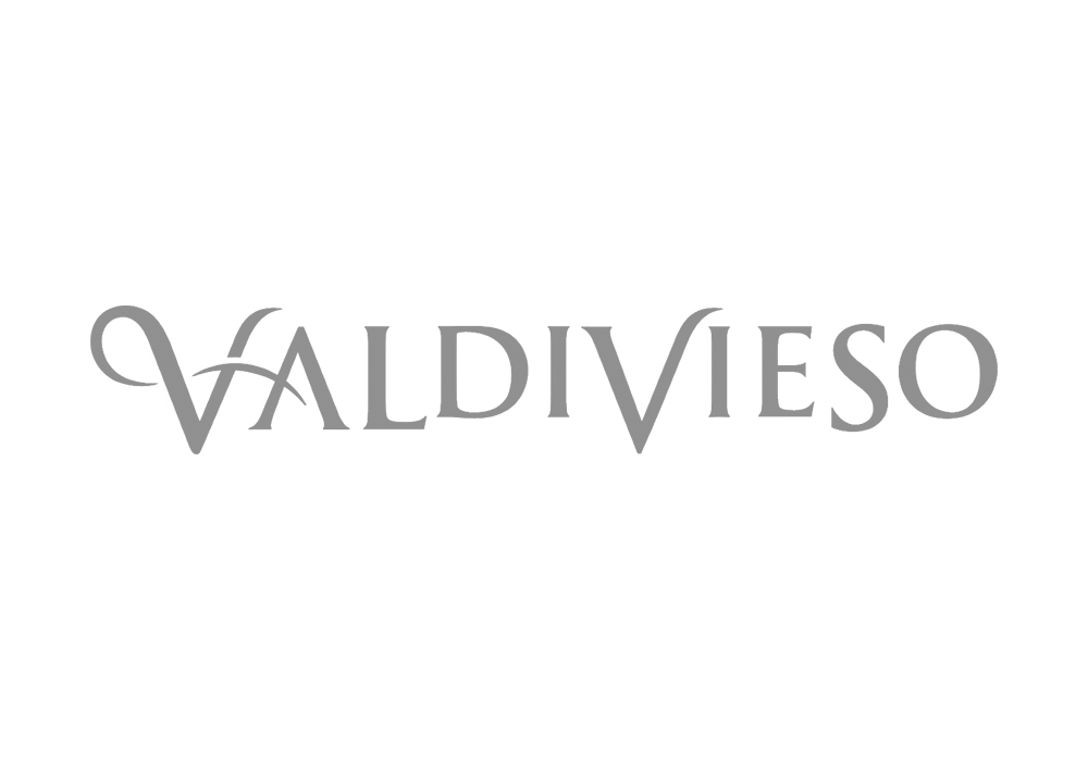 valdivieso-logo